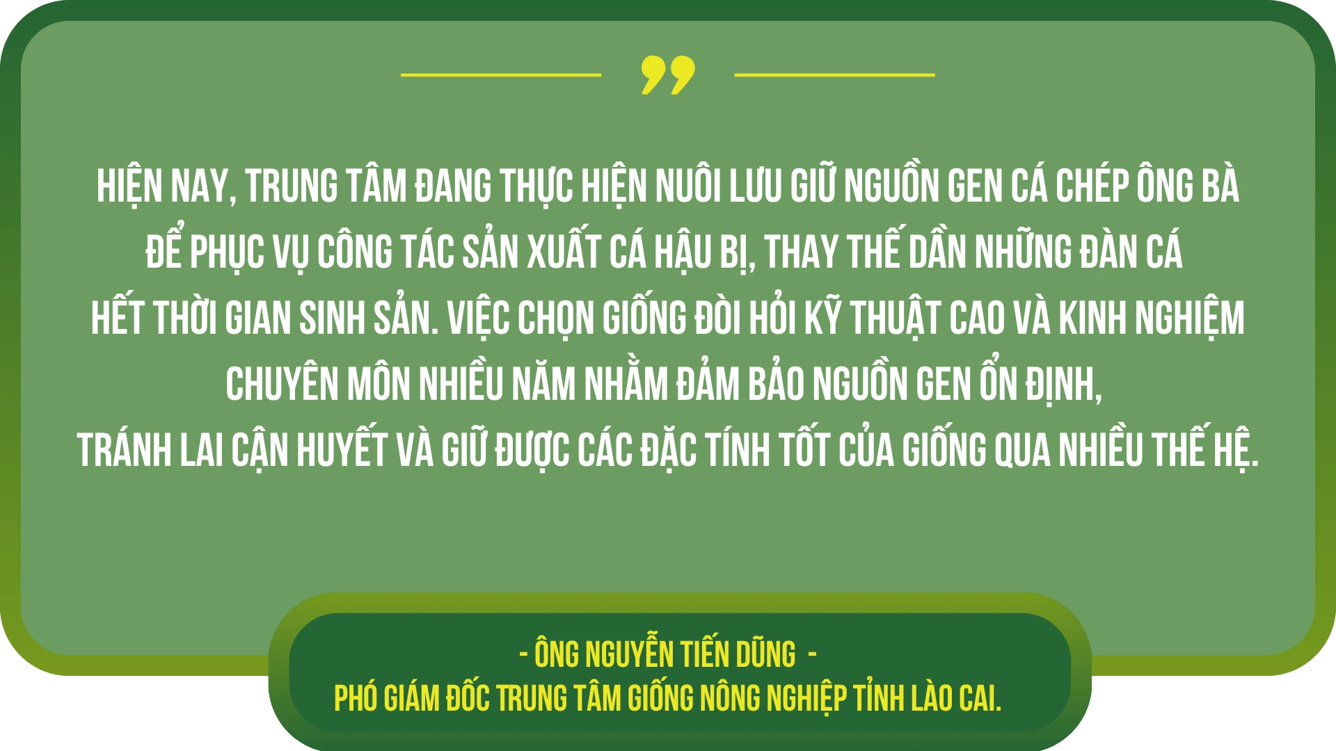 xay-dung-lao-cai-thanh-vung-duoc-lieu-trong-diem-cua-ca-nuoc-1.png
