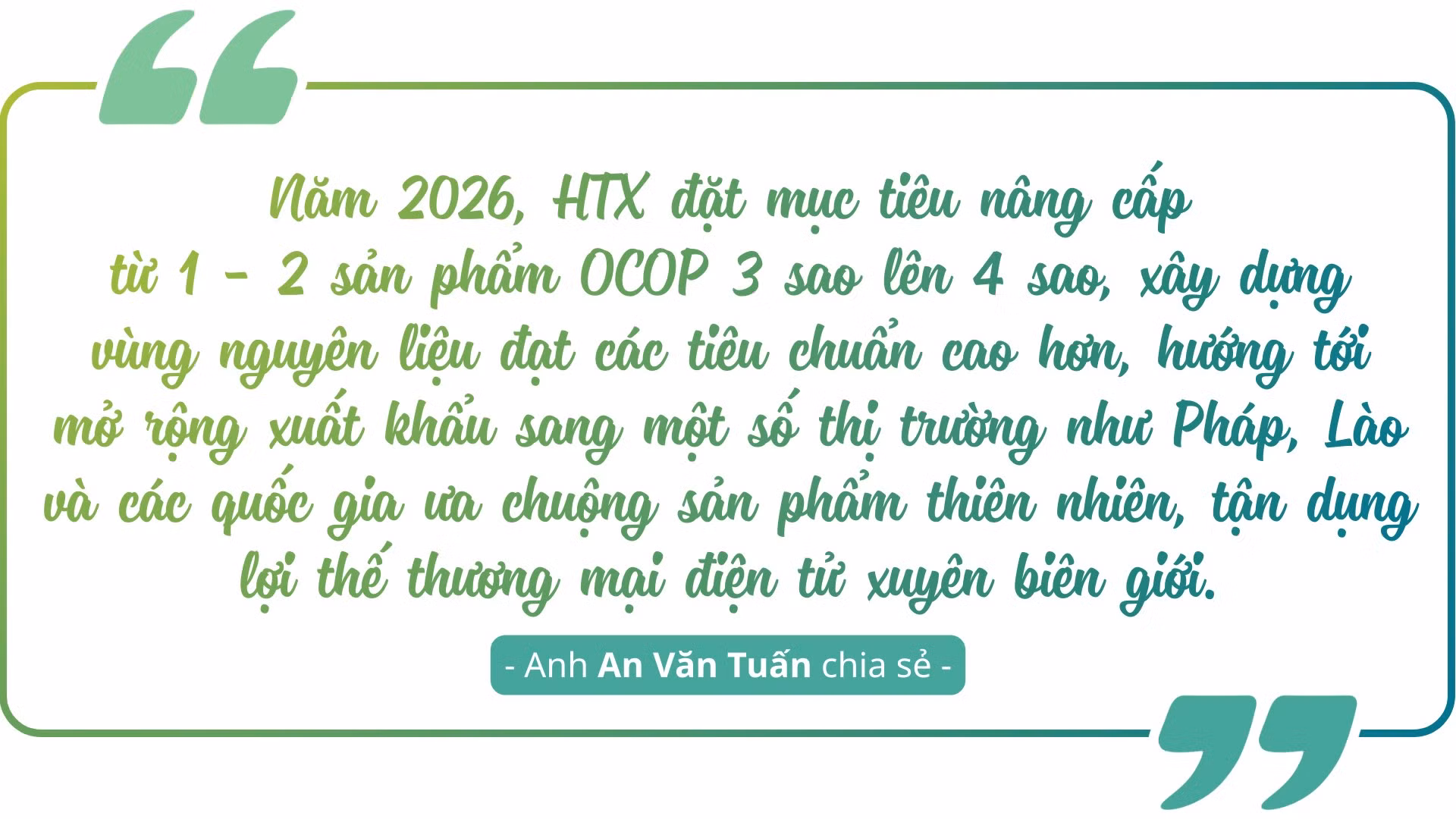 dua-huong-tra-thao-duoc-chinh-phuc-thi-truong-the-gioi-1.png