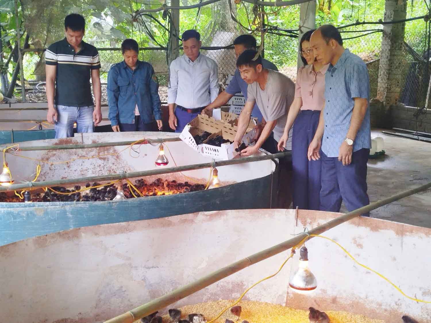 Cán bộ khuyến nông hướng dẫn hộ dân chăn nuôi gà an toàn sinh học. 2.jpg