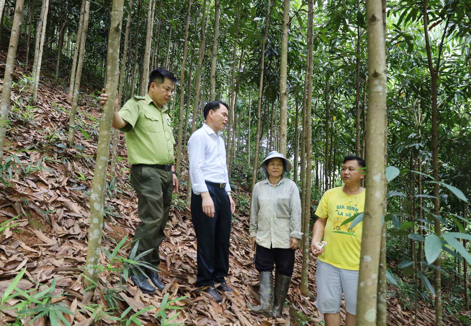 Mr. Hoang Van So's family (in yellow shirt) is excited to receive money for forest environmental services. 6.jpg