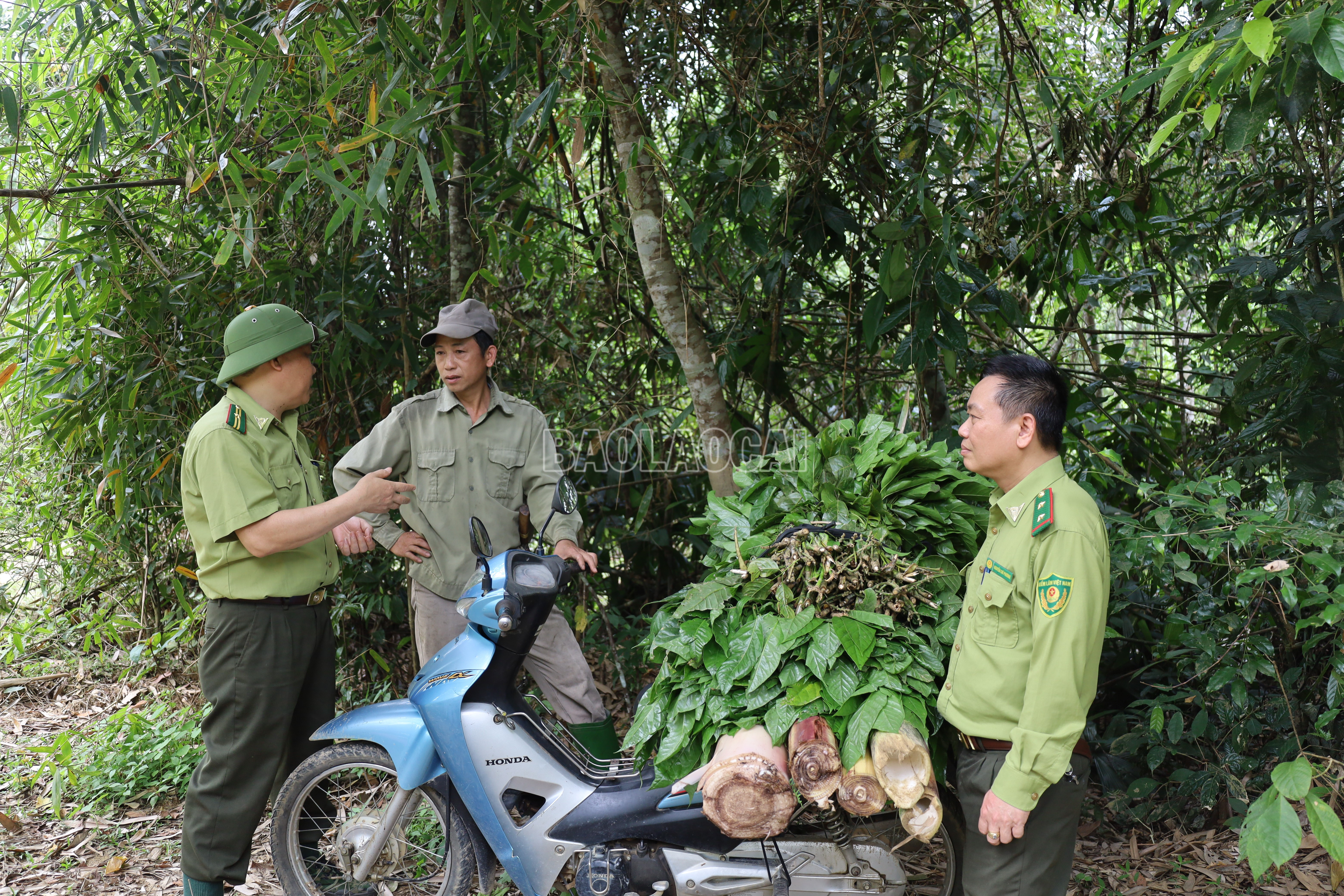 Tuyên truyền nâng cao nhận thức người dân sống gần rừng, giúp bảo vệ rừng hiệu quả. baolaocai-c_img-0494.jpg
