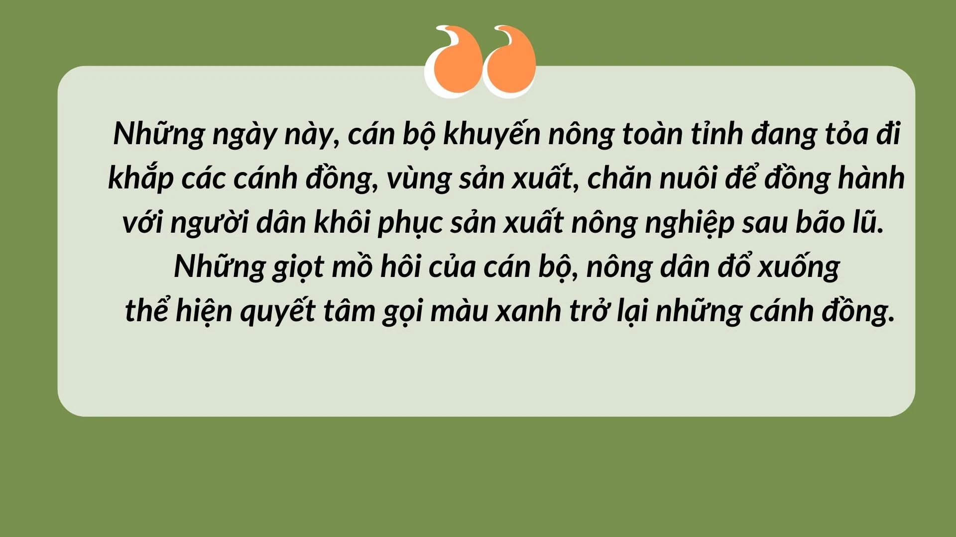 _Tiêu chí số 17 ở Kim Sơn.jpg