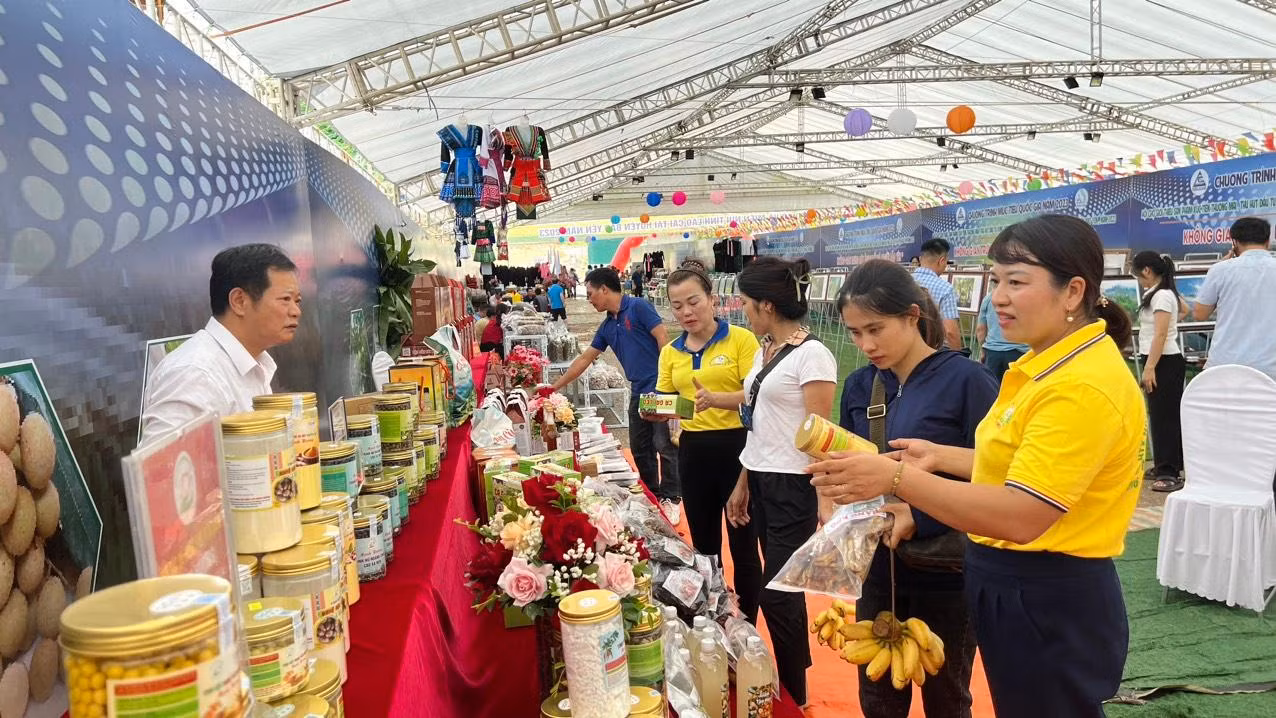 Các hợp tác xã được hỗ trợ quảng bá sản phẩm..jpg