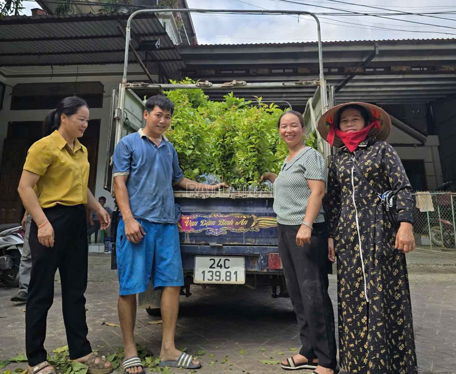 Các hộ dân xã Bảo Yên phấn khởi nhận cây giống trồng rừng. baolaocai-c_2-680.jpg