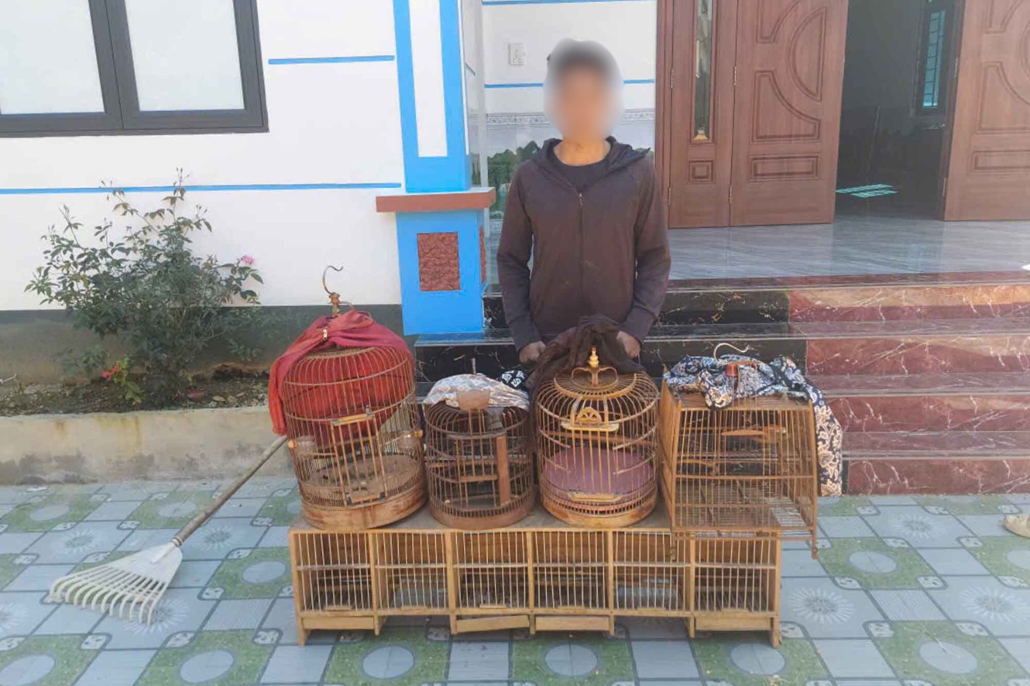 Kiểm tra phát hiện có nhiều lồng nhốt chim tại nhà của G.S.T.