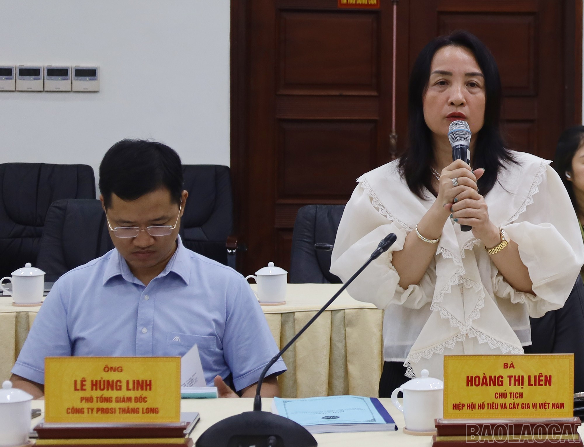 Các đại biểu đến từ các đơn vị, doanh nghiệp kinh doanh, xuất khẩu sản phẩm hoa hồi thảo luận tại hội thảo. 8-2678.jpg