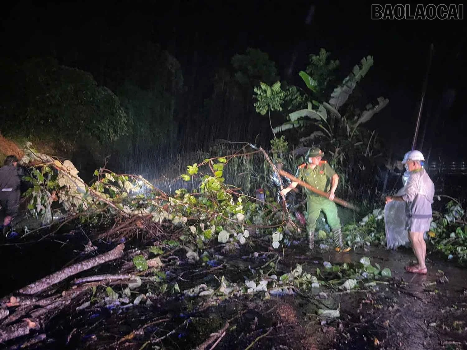 Lực lượng tại chỗ xã Phúc Khánh khẩn trương thu dọn cây đổ, thông tuyến Quốc lộ 70.