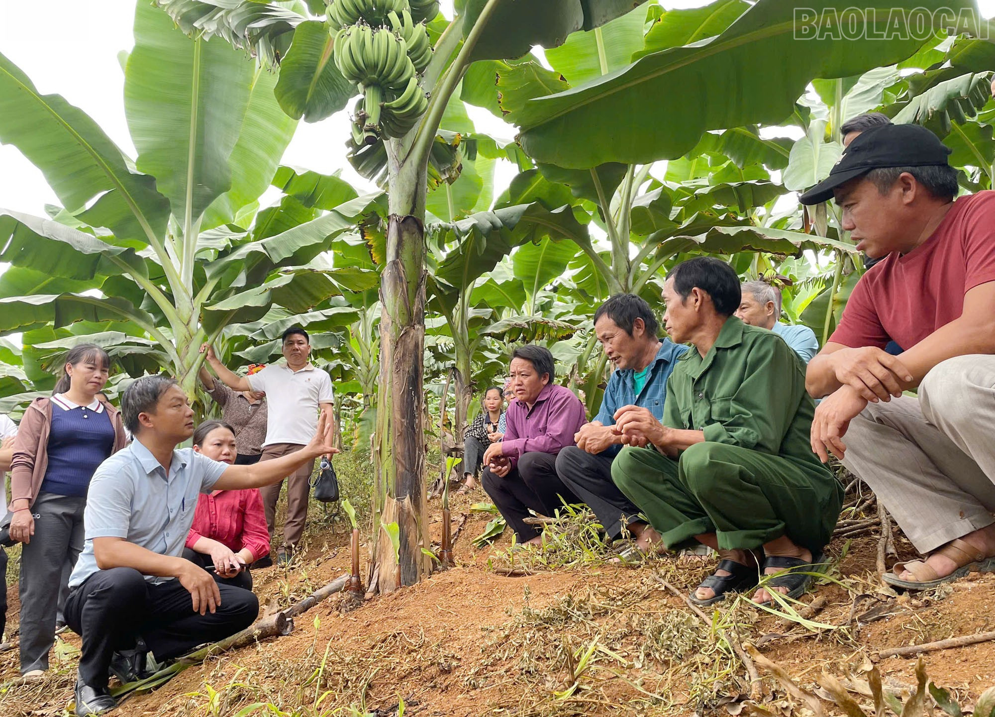 Hướng dẫn thực hành tại mô hình, giúp học viên dễ hiểu, dễ áp dụng vào thực tế sản xuất. baolaocai-tr_2.jpg