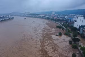 [Ảnh] Củi rác trôi “phủ kín” mặt nước sông Hồng