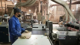 Trấn Yên: Chuyển dịch cơ cấu lao động nông thôn, hướng tới phát triển kinh tế bền vững 