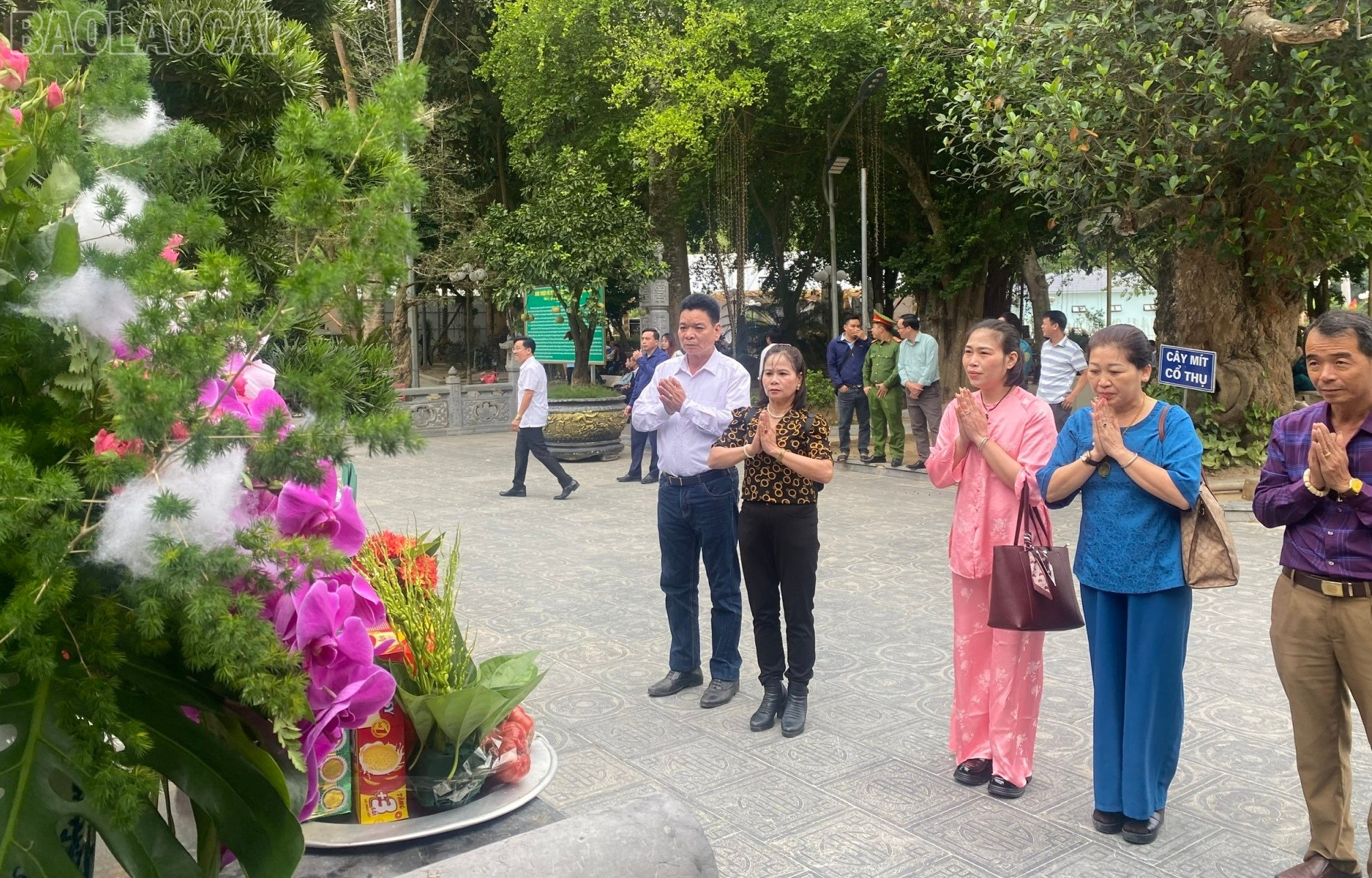 Du khách thập phương đến dâng hương, chiêm bái. baolaocai-tl_dang-huong-chiem-bai.jpg