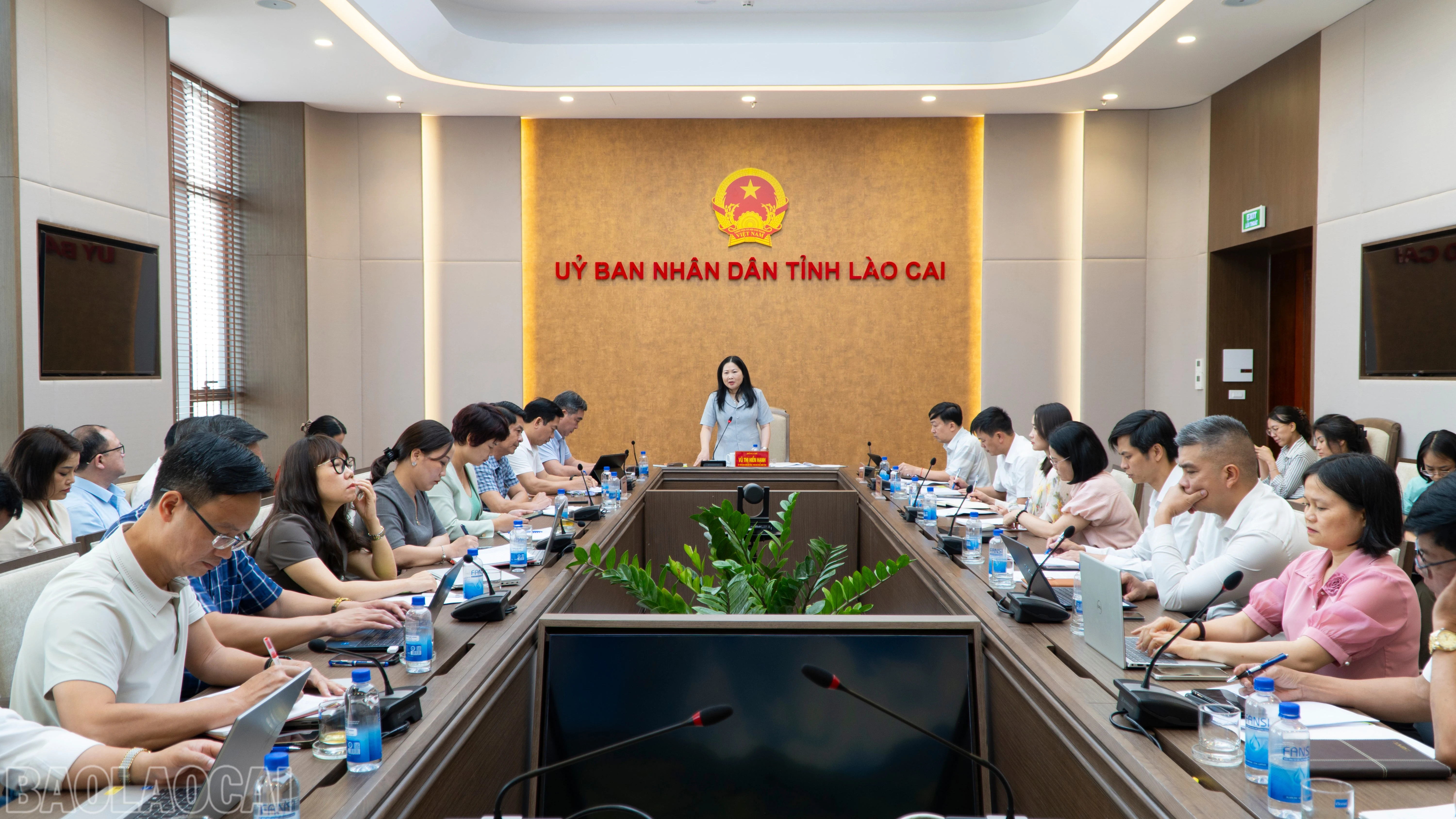 Đồng chí Vũ Thị Hiền Hạnh - Phó Chủ tịch UBND tỉnh chủ trì buổi làm việc.