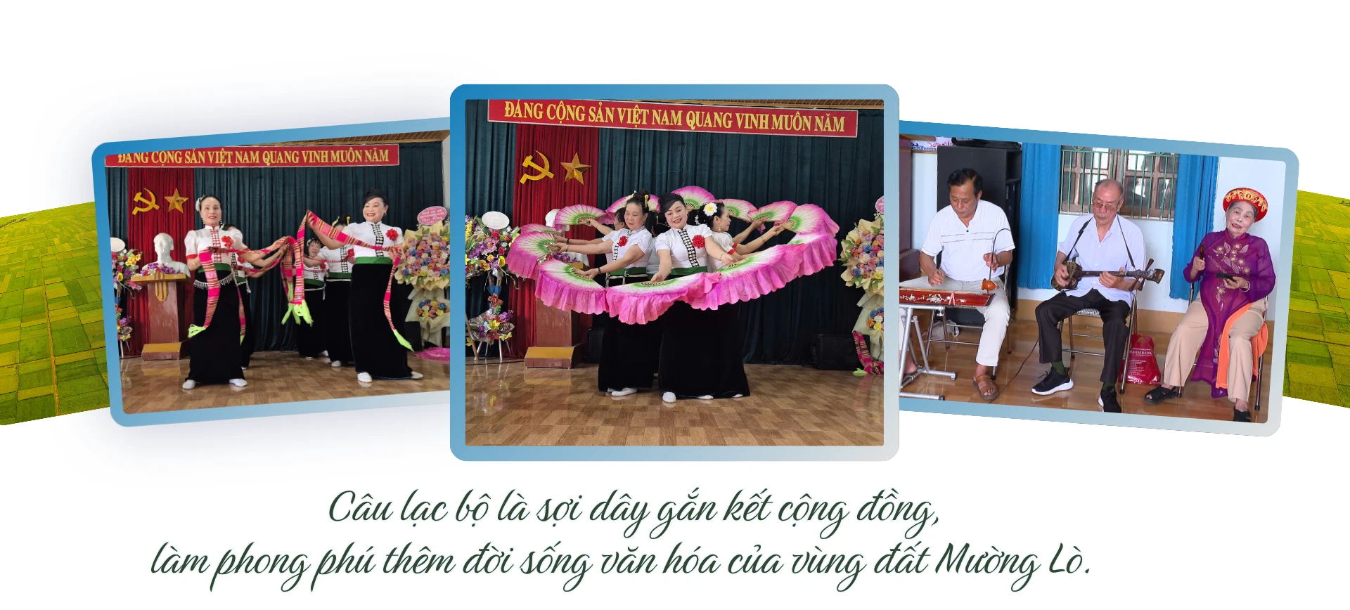 tham-gia-cac-buoi-bieu-dien.png
