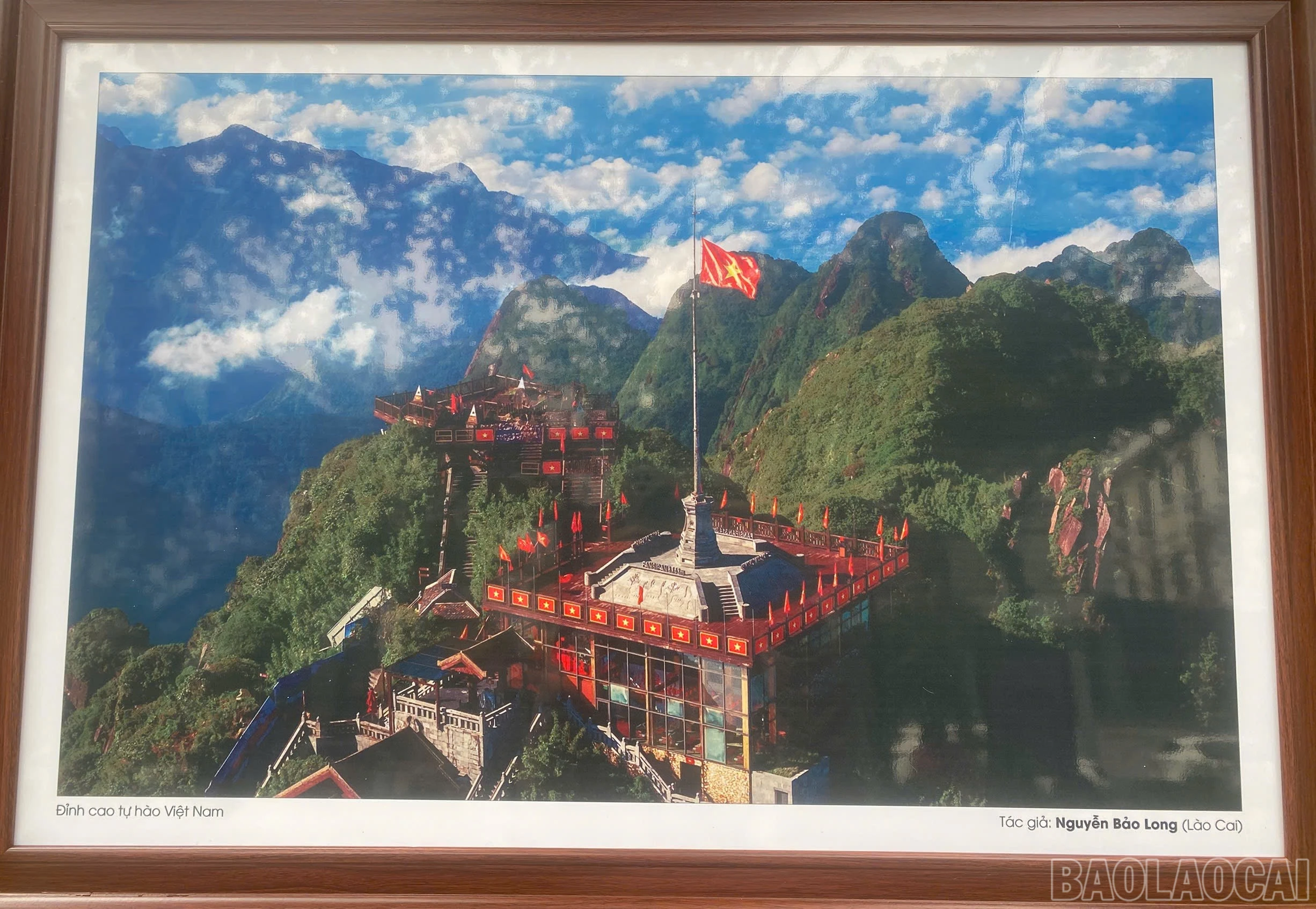 baolaocai-br_fanxiphang-trienlam.jpg