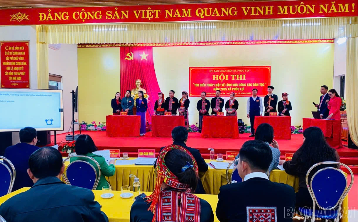 baolaocai-br_anh1-pl.png