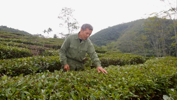 Làm giàu từ mô hình “vườn - ao - chuồng”