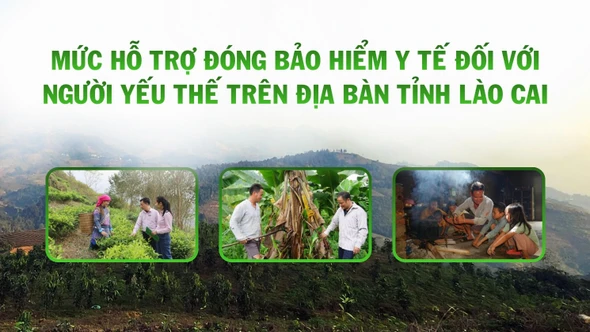 [Infographic] Quy định mức hỗ trợ đóng bảo hiểm y tế đối với người yếu thế trên địa bàn tỉnh Lào Cai
