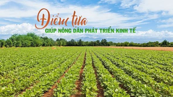 Điểm tựa giúp nông dân phát triển kinh tế