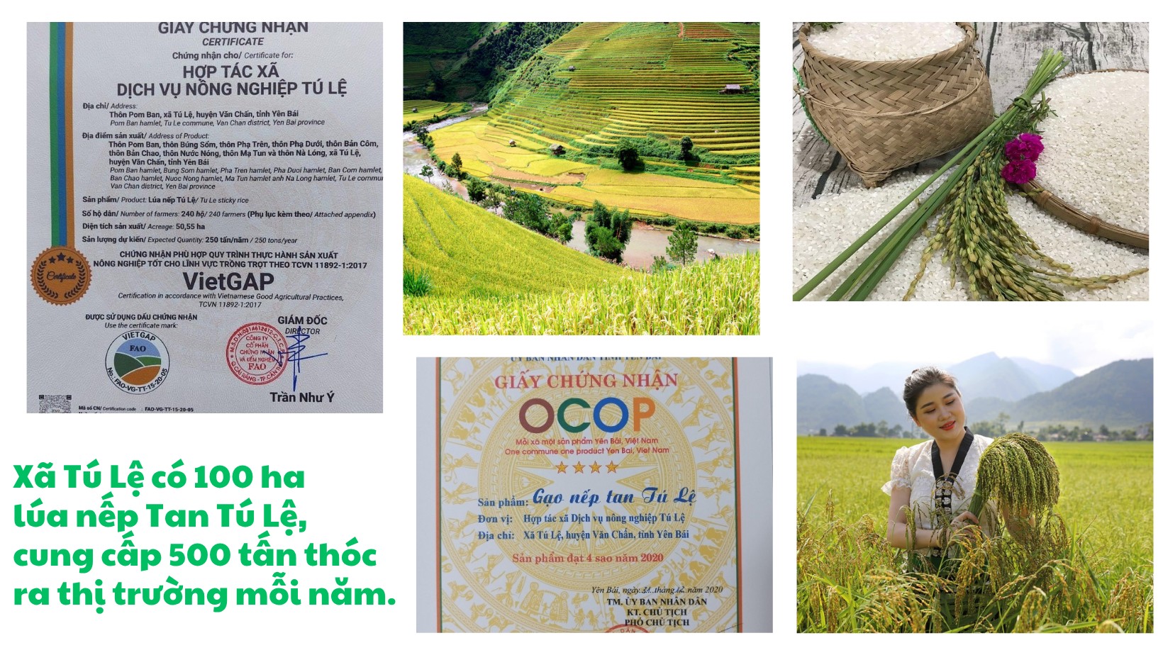 den-mau-be-anh-anh-ghep-thoi-trang-sac-dep-cong-dong-anh-bia-facebook-6.png