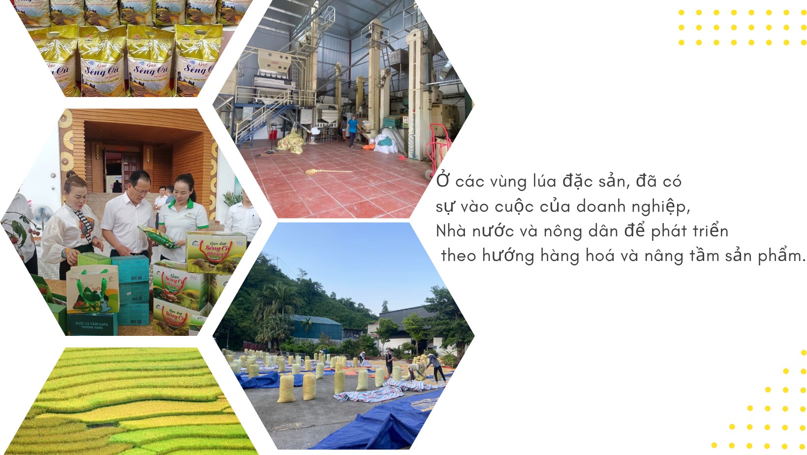 den-mau-be-anh-anh-ghep-thoi-trang-sac-dep-cong-dong-anh-bia-facebook-2.png