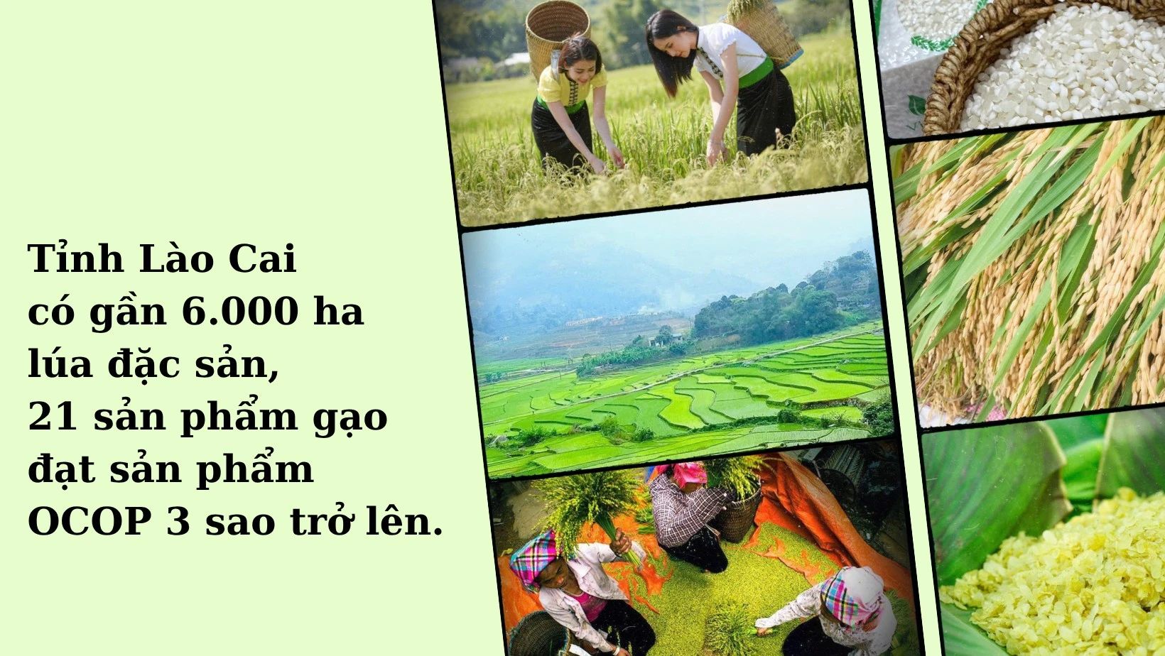 den-mau-be-anh-anh-ghep-thoi-trang-sac-dep-cong-dong-anh-bia-facebook-4.png