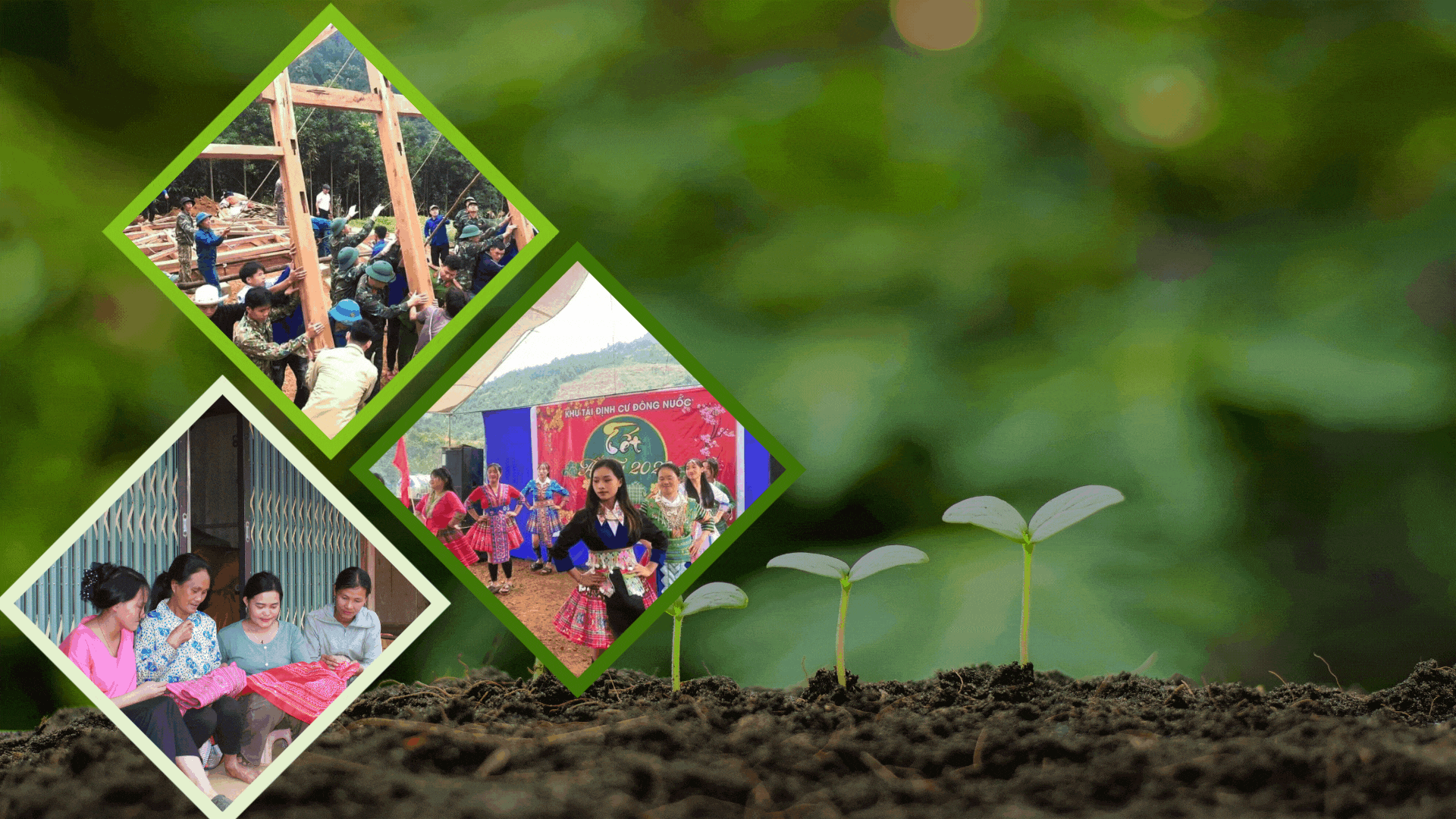 "Nảy mầm" hạnh phúc