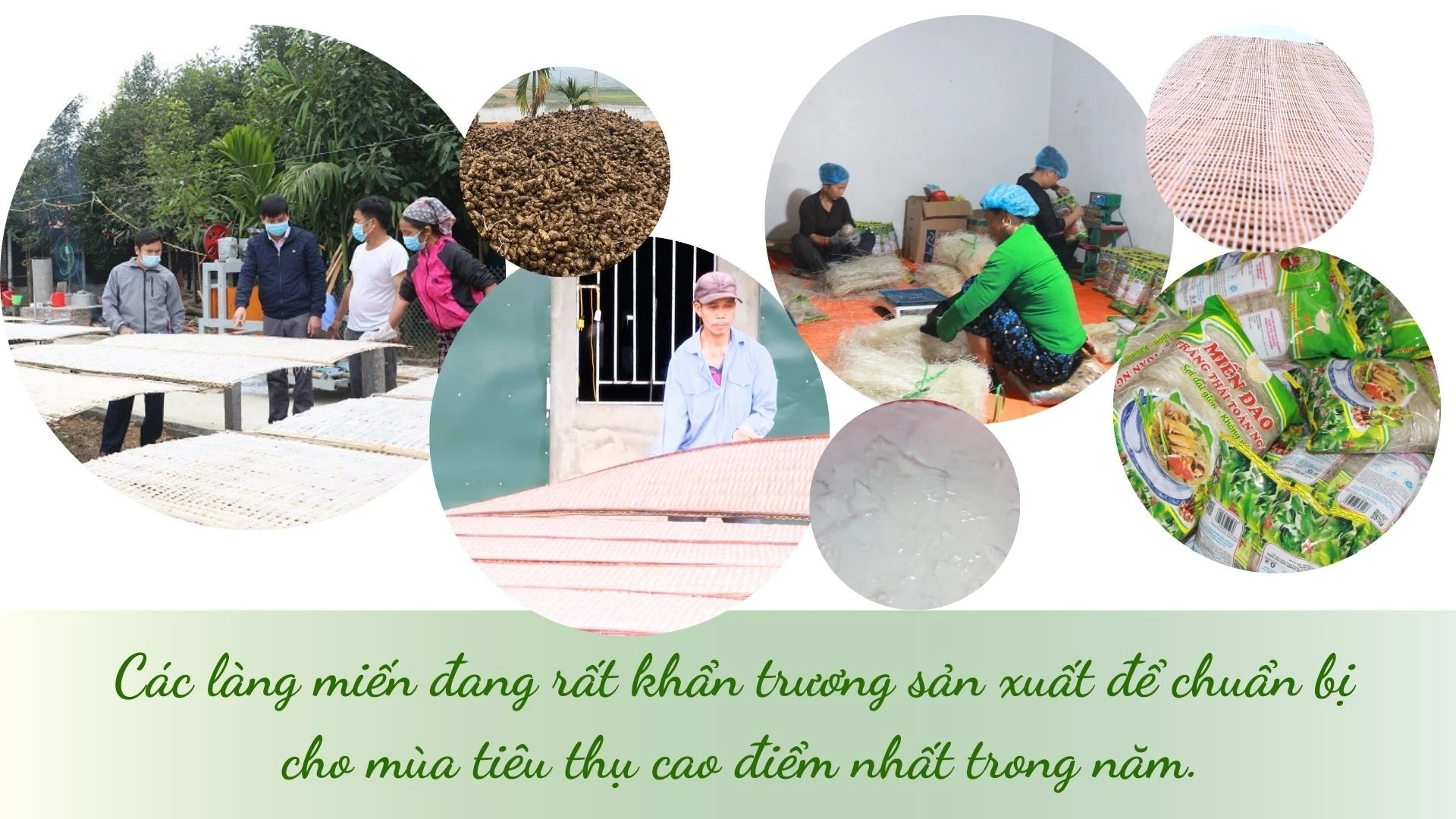 green-and-white-simple-agrifarm-presentation.jpg
