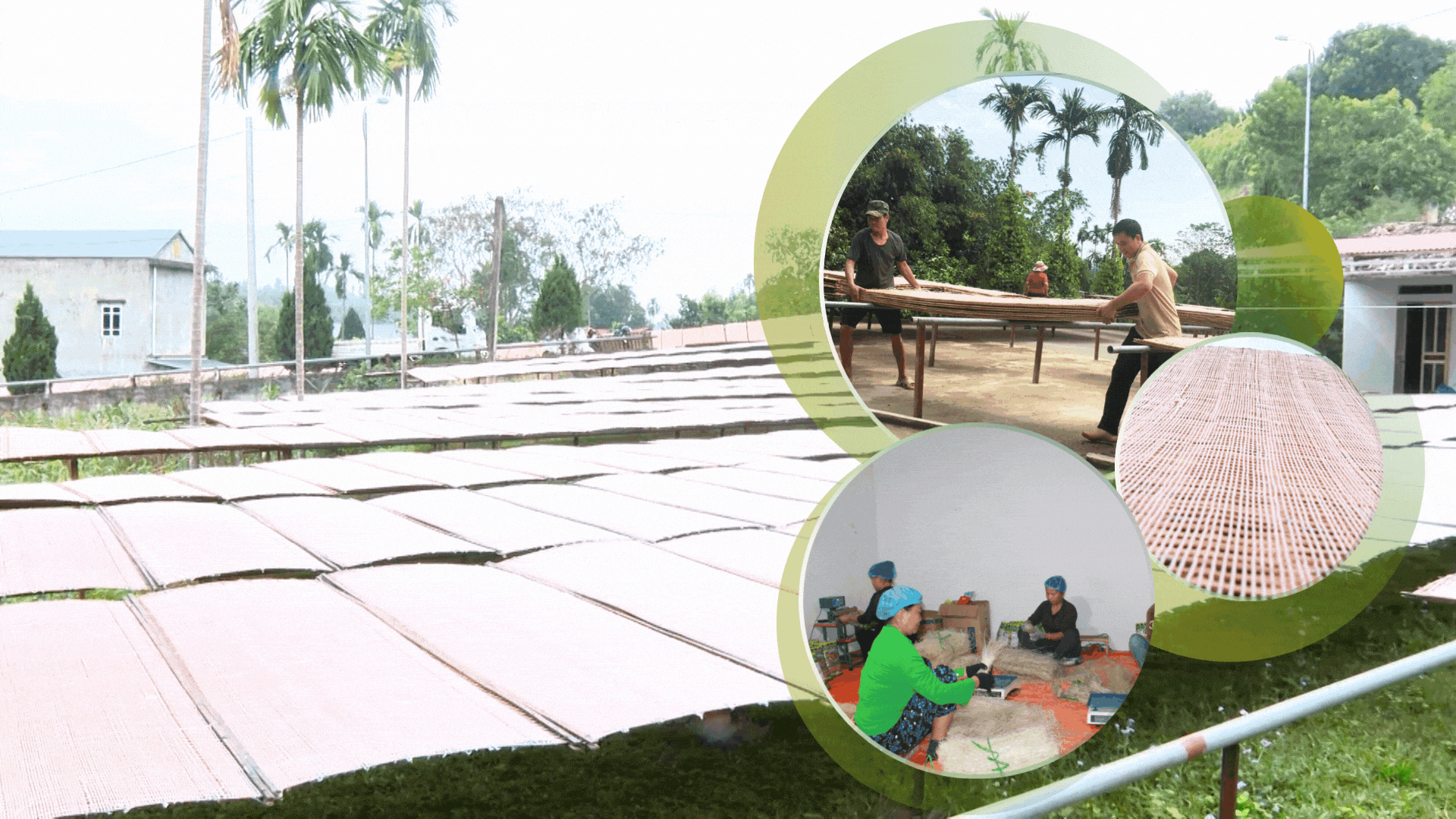 Làng miến ngày cuối năm