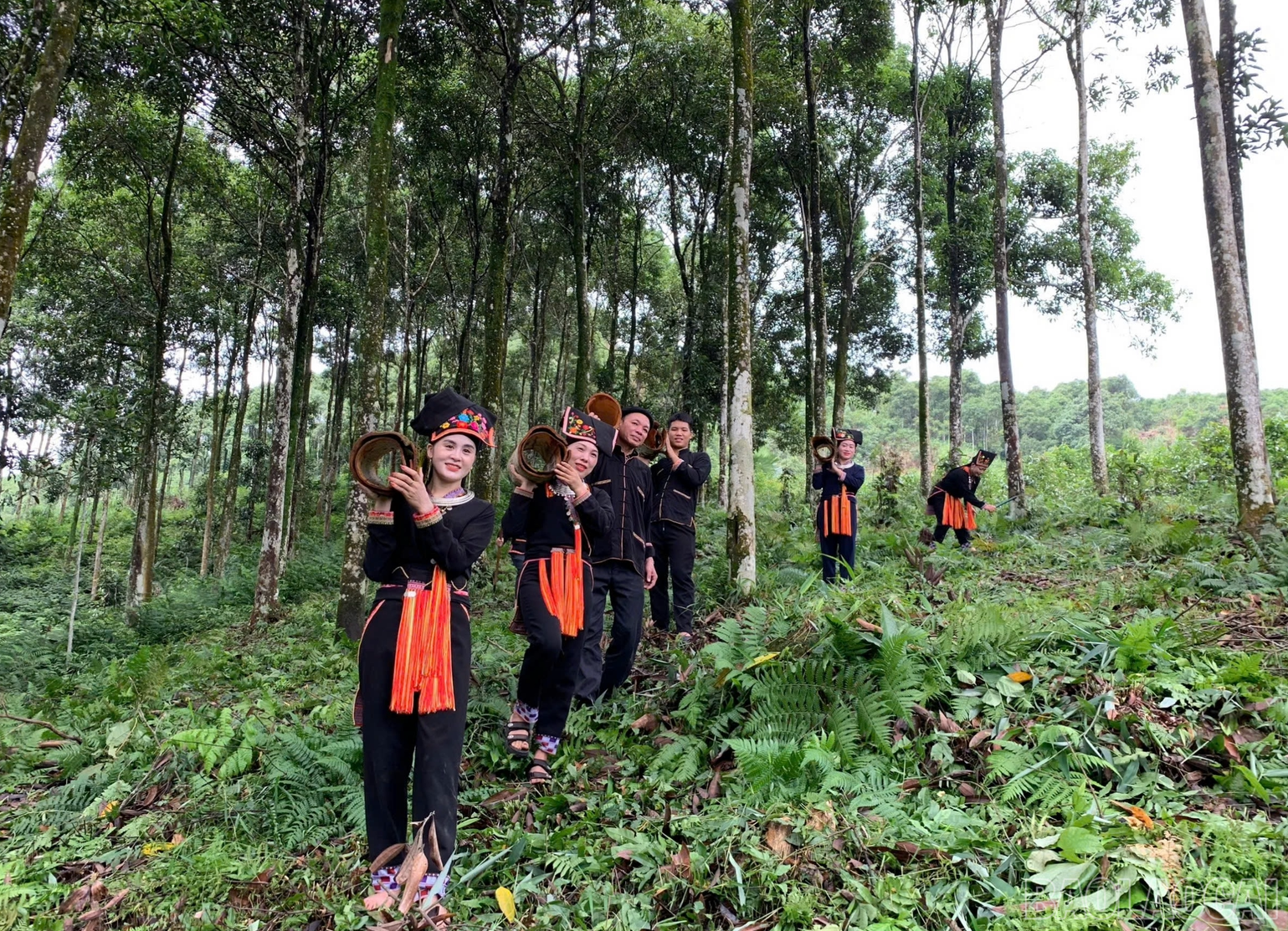 Quế hữu cơ sẽ có giá bán cao hơn từ 8 - 30% so với quế thông thường. baolaocai-br_img-6171.png