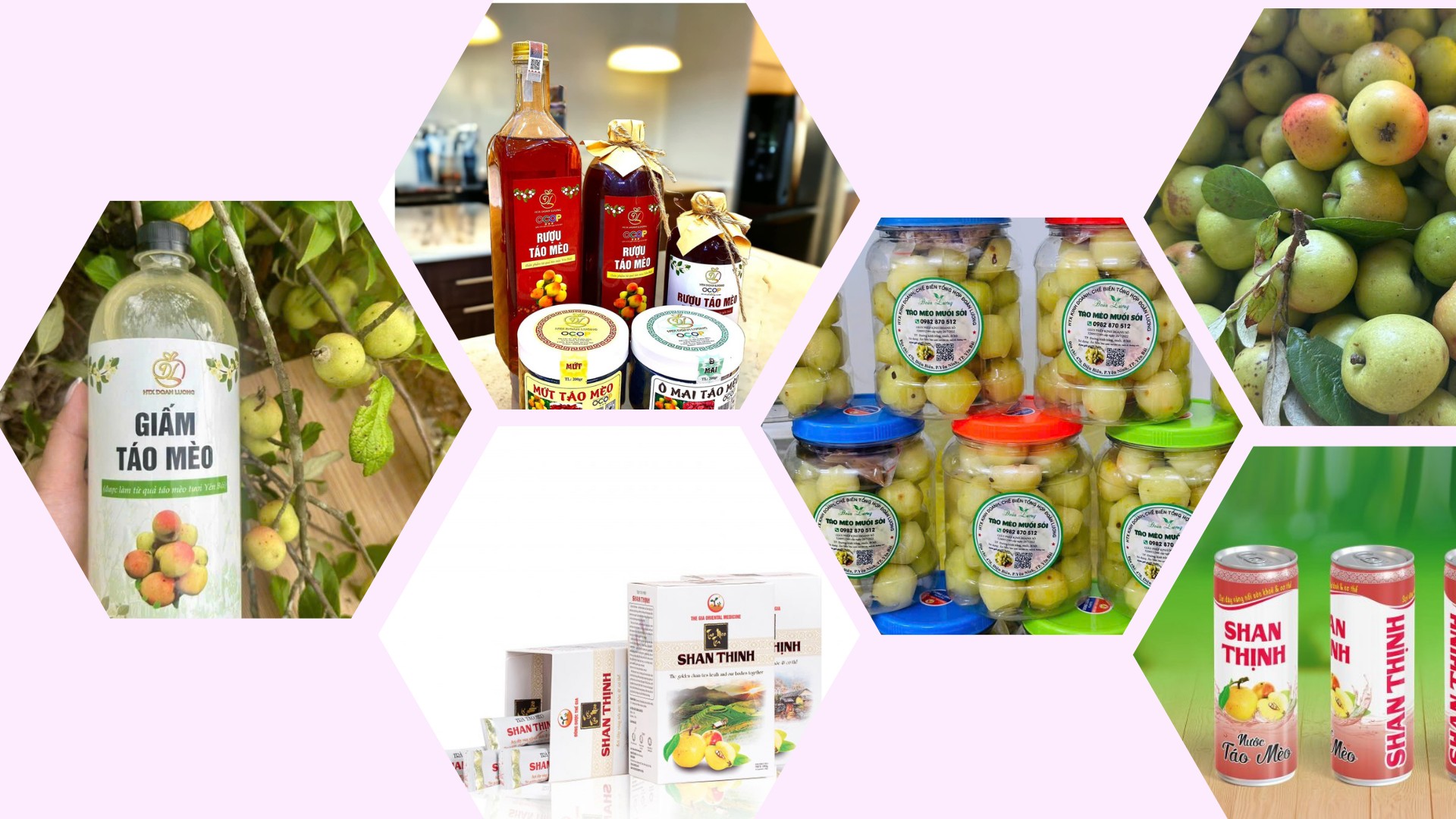 Sơn tra được chế biến thành đa dạng sản phẩm. 2.png