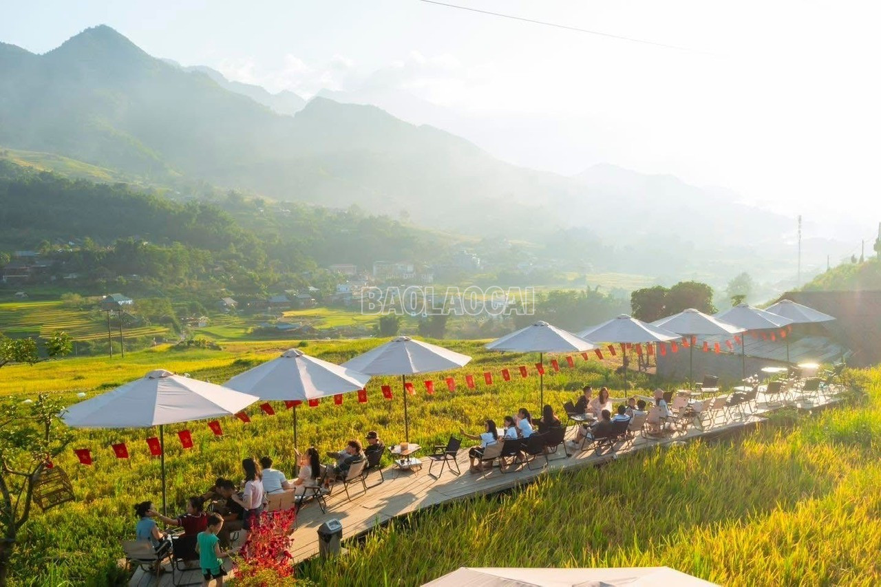 Các quán cà phê có "view" ruộng bậc thang được nhiều người tìm đến khi du lịch Sa Pa mùa lúa chín. baolaocai-c_z7035952451156-f9d6857c46b27b12cdbd3edf4395e48f.jpg