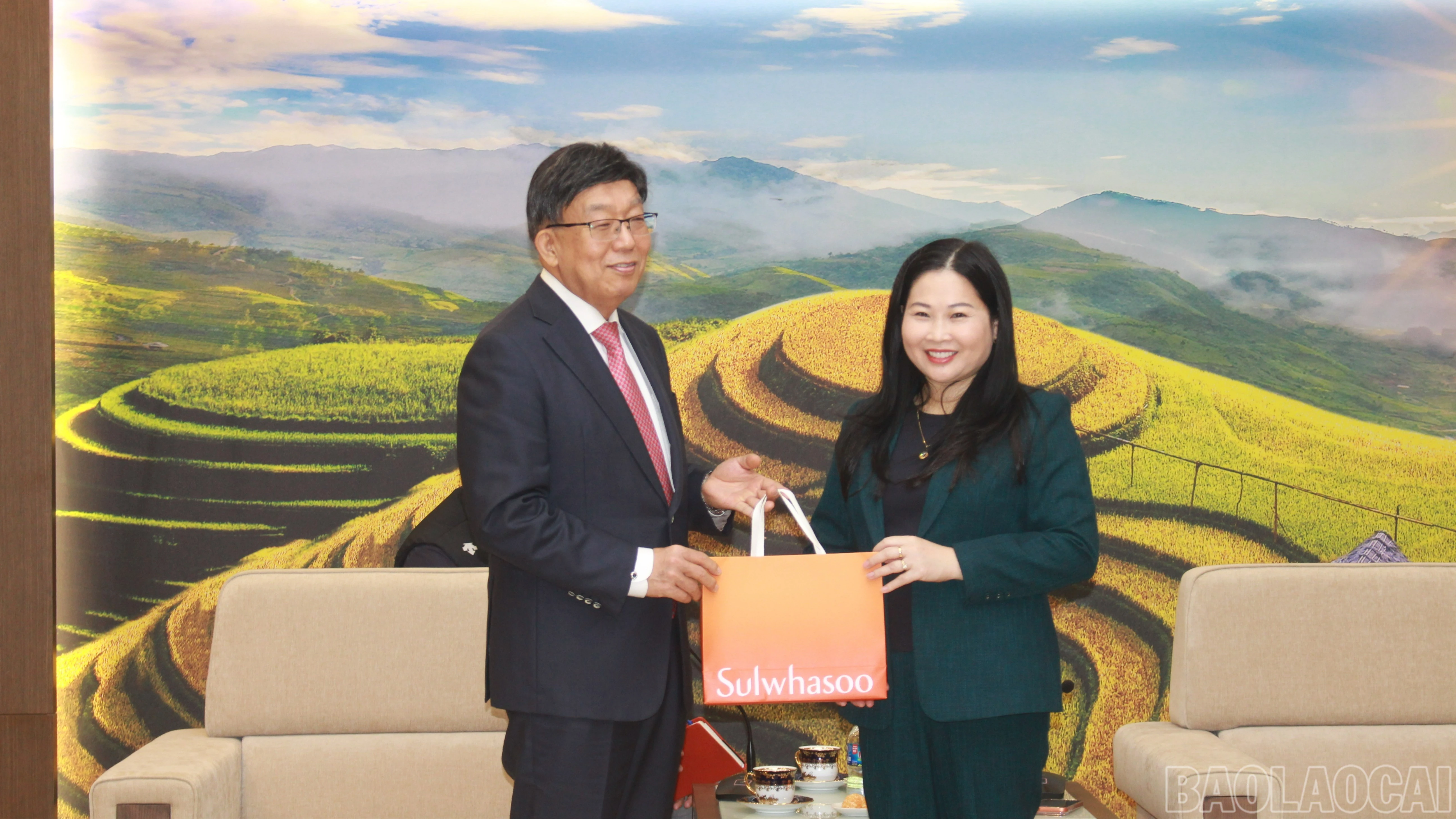 baolaocai-br_img-3253-6869.jpg