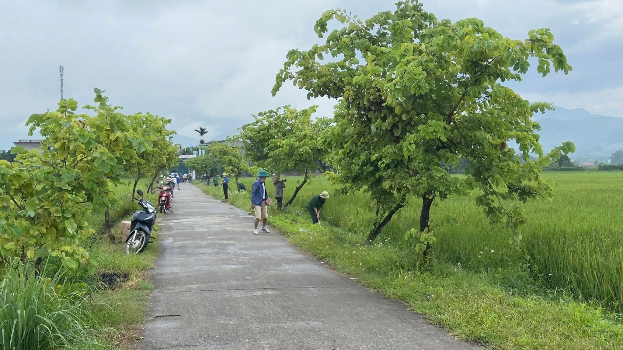 Cán bộ MTTQ phường cùng người dân chỉnh trang tuyến đường và vá đường bê tông. Cán bộ MTTQ phường cùng người dân chỉnh trang tuyến đường và vá đường bê tông.