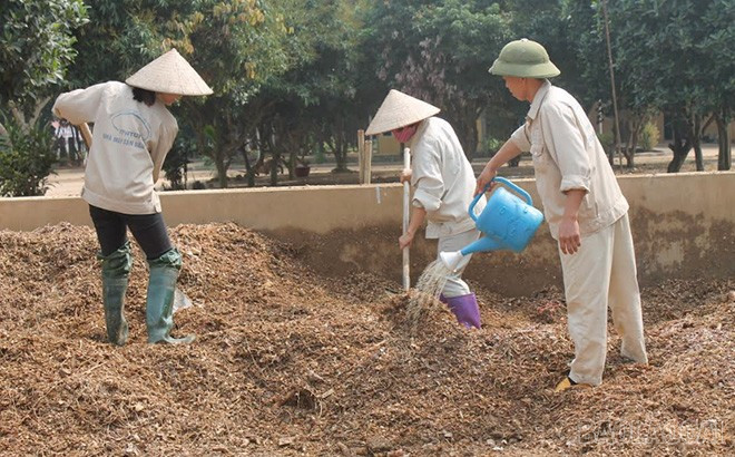 Công nhân Nhà máy Sắn Văn Yên (Công ty Cổ phần Lâm nông sản, thực phẩm Yên Bái) ủ phân hữu cơ từ chất thải sau sản xuất. baolaocai-br_09-04-tap-huan-chuyen-giao-ky-thuat-sd-phe-pham-11.jpg
