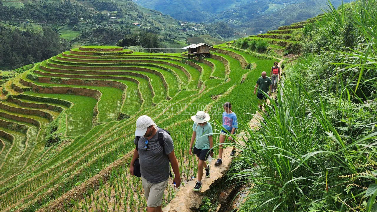 Trekking khám phá thiên nhiên được nhiều du khách quốc tế ưa chuộng. baolaocai-c_z7042695897619-e32563e13f7bfc006c125a06a28b777a.jpg