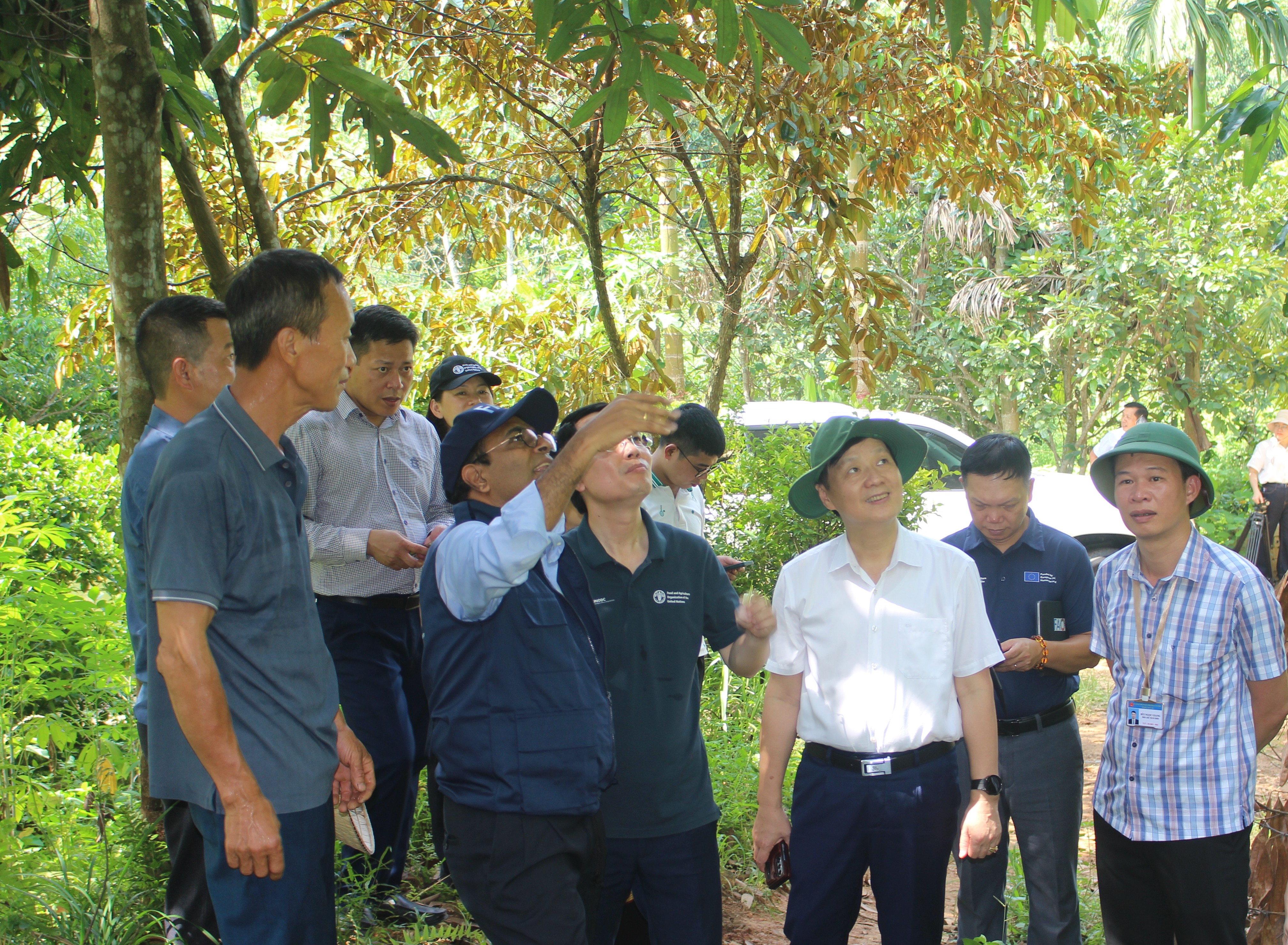 Tổ chức Lương thực và Nông nghiệp Liên hợp quốc thăm, làm việc tại Lào Cai ảnh 5 img-1244.jpg
