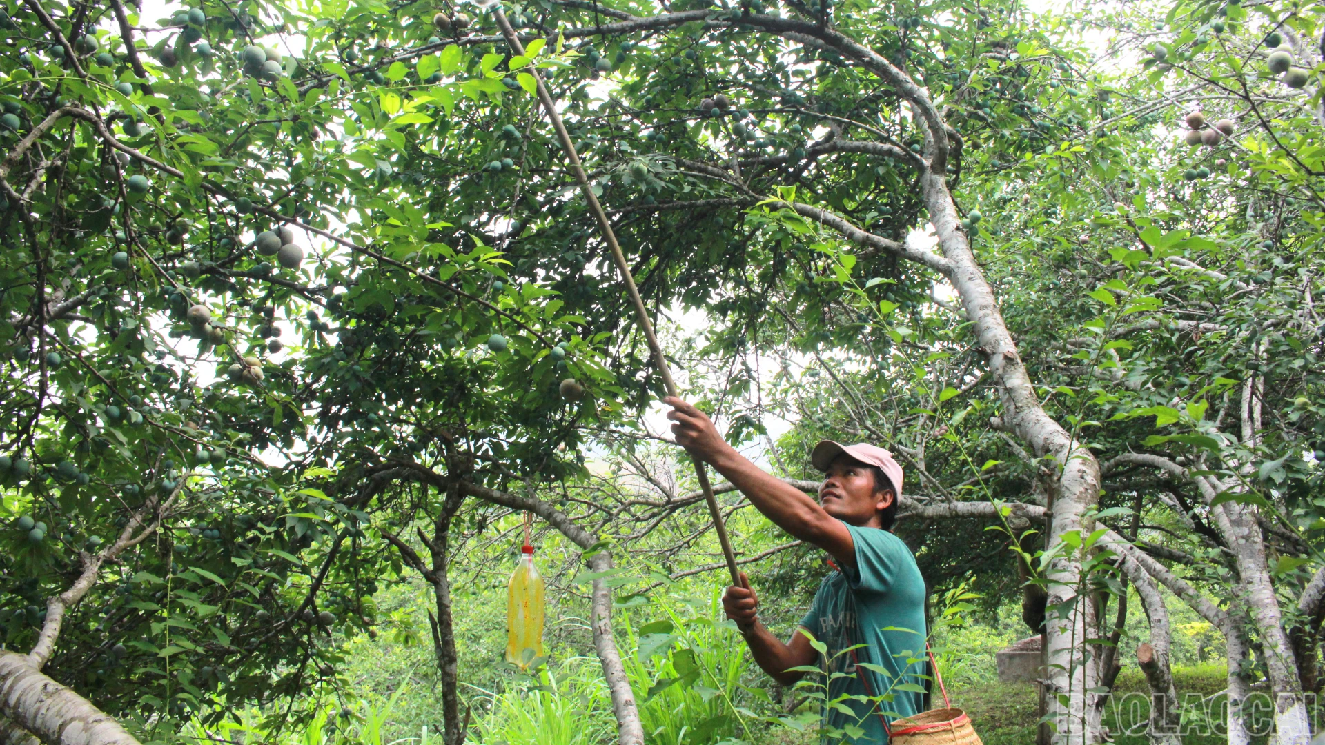 Anh Đinh Công Hiền luôn đặt yếu tố chất lượng sản phẩm lên hàng đầu.