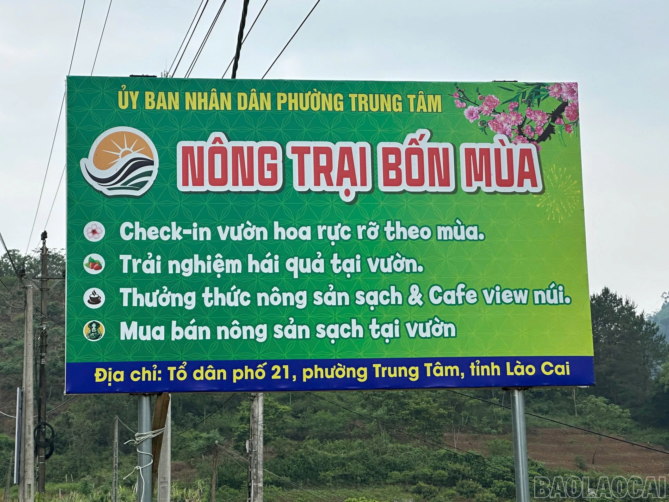 Trải nghiệm "nông trại bốn mùa": Nông sản trở thành sản phẩm du lịch hút khách ảnh 1