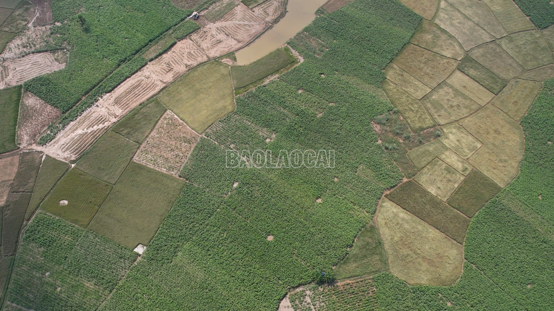 Màu xanh đang dần lan toả trên đồng đất Lào Cai sau thiên tai. baolaocai-c_6-1.jpg