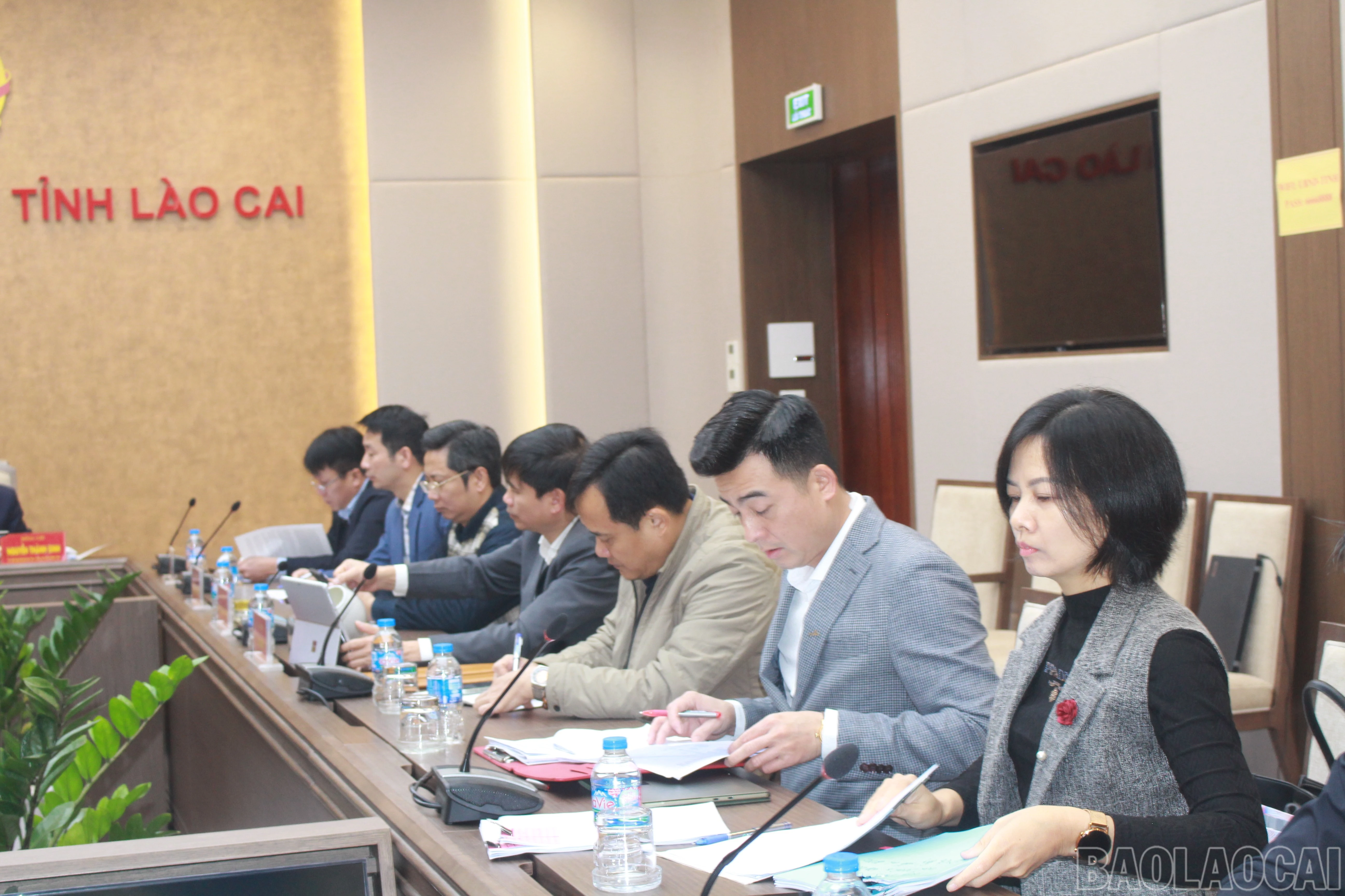 baolaocai-br_img-3371.jpg