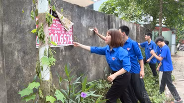 Siết chặt quản lý quảng cáo rao vặt: Kiên quyết xử lý nghiêm vi phạm