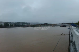 Nước sông Hồng đã tràn bờ kè