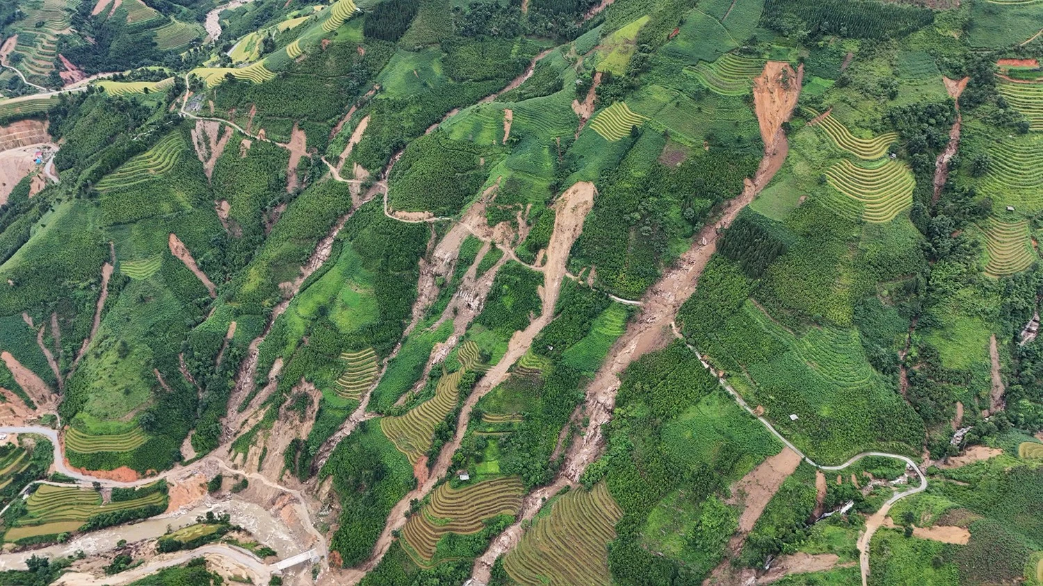 Diện tích lúa bị vùi lấp là 128 ha.