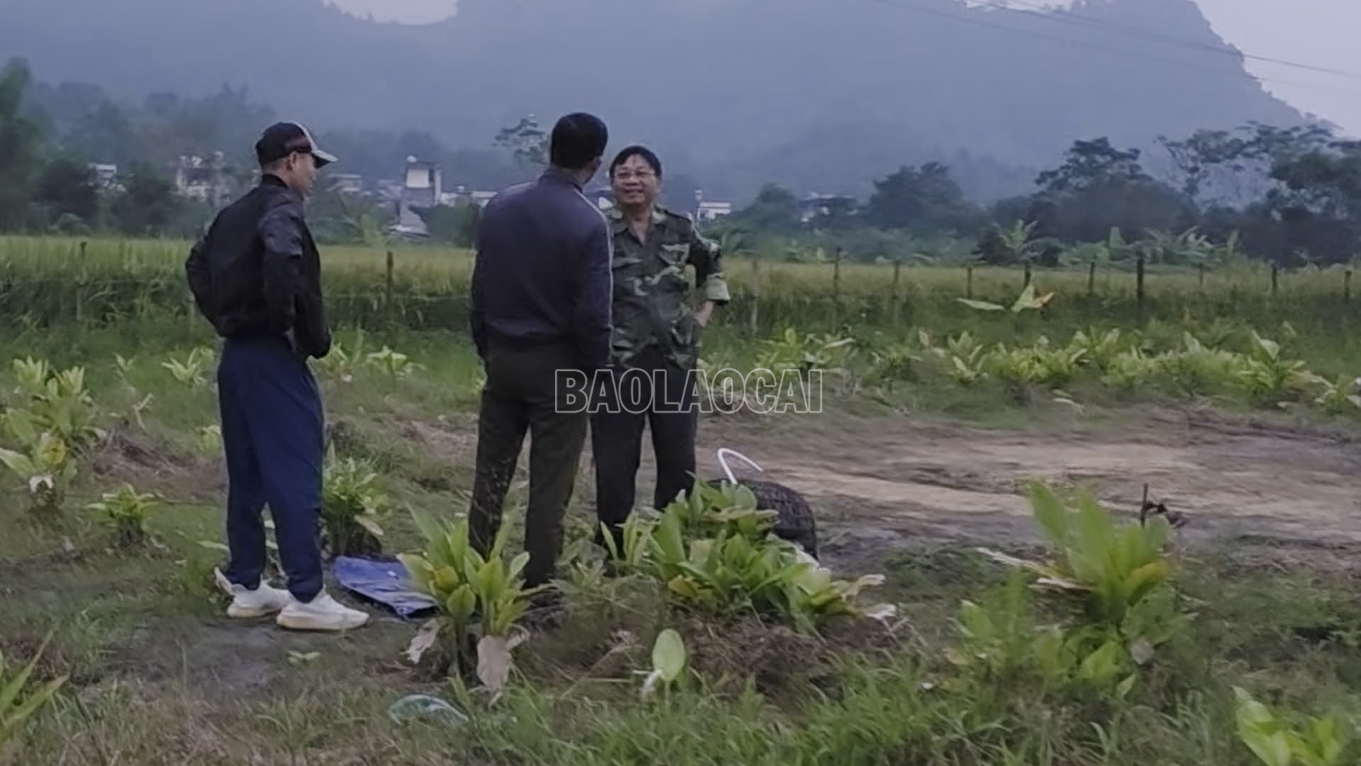 baolaocai-c_anh-5-khu-vuc-phat-hien-danh-bay.png