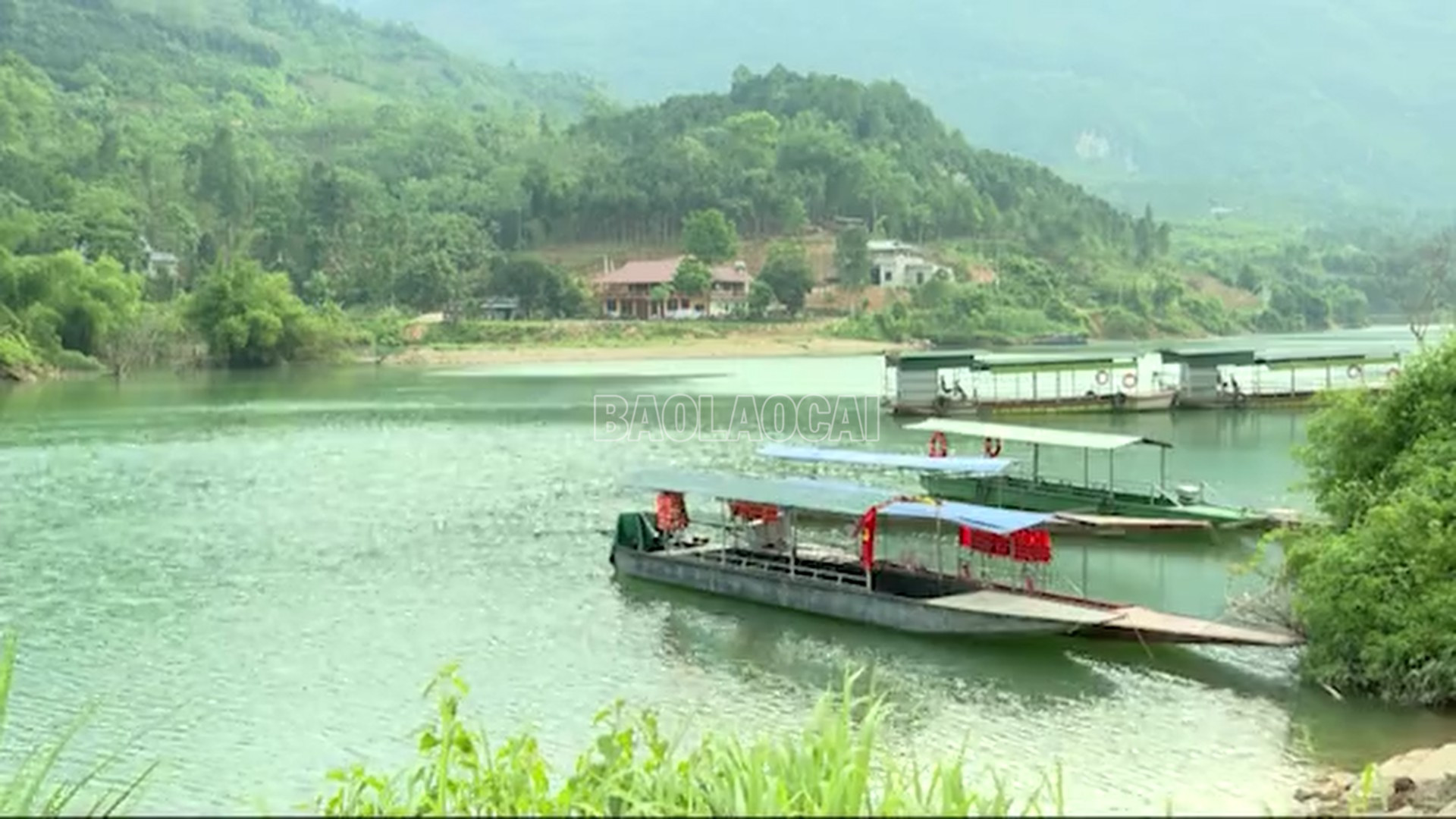 baolaocai-c_anh-6.png