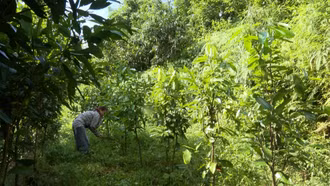 191 khách hàng được vay vốn ưu đãi dành cho người chấp hành xong án phạt tù