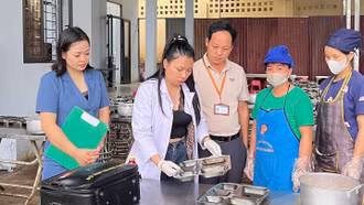 Kiểm tra chuyên ngành về an toàn thực phẩm tại 24 trường học