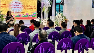 Tập huấn nâng cao năng lực cho cán bộ làm công tác tuyên truyền, tư vấn, giới thiệu việc làm