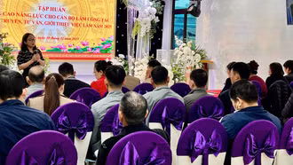 Tập huấn nâng cao năng lực cho cán bộ làm công tác tuyên truyền, tư vấn, giới thiệu việc làm