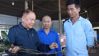 "Chìa khóa" mở lối thoát nghèo ở vùng cao